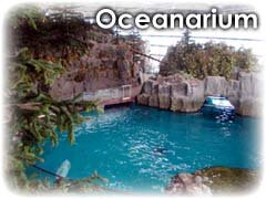 Oceanarium/Dolphin/Beluga Pics