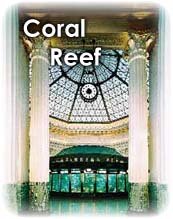 Coral Reef Tank Pics